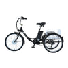 GTXR & GOGOBEST GF100 Electric City Tricycle Cargo Ebike【Pré-vente】