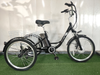 GTXR & GOGOBEST GF100 Electric City Tricycle Cargo Ebike【Pré-vente】