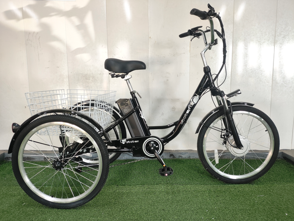 GTXR & GOGOBEST GF100 Electric City Tricycle Cargo Ebike【Pré-vente】