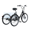 GTXR & GOGOBEST GF100 Electric City Tricycle Cargo Ebike【Pré-vente】
