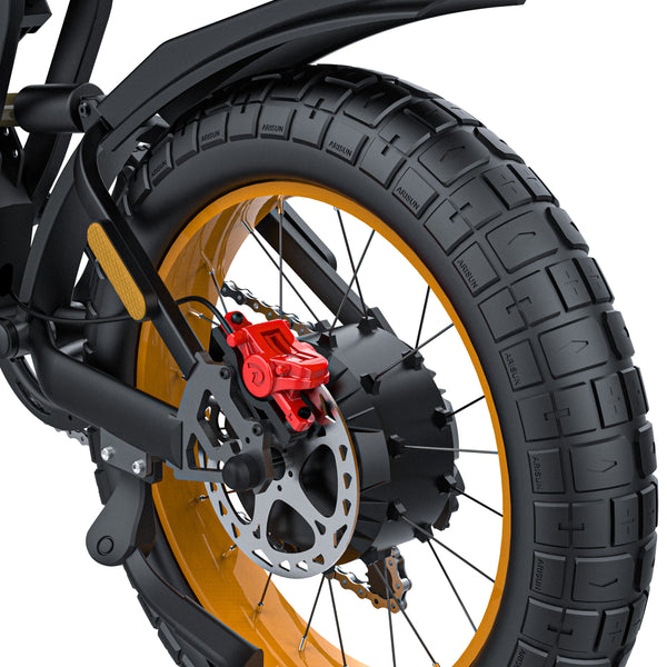 GTXR & COSWHEEL GT20 vélo électrique【Prévente】