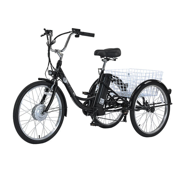 GTXR & GOGOBEST GF100 Electric City Tricycle Cargo Ebike【Pré-vente】