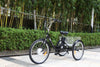 GTXR & GOGOBEST GF100 Electric City Tricycle Cargo Ebike【Pré-vente】