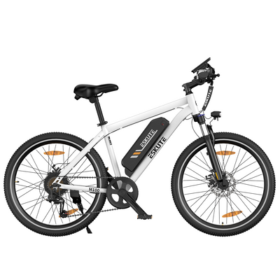 M100 E-Mountainbike mit Heckmotor 375Wh