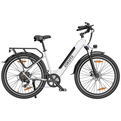 Polluno PLUS City E-bike mit Drehmomentsensor