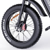 Q20 Pro Off-road Electric Bike 20*4.0 inch Fat Tires 1000W*2 Motor 52V 20AH Dual Battery 55km/h Max Speed 288km Max Range 150kg Max
