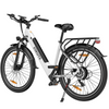 Polluno PLUS City E-bike mit Drehmomentsensor