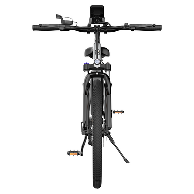 M100 E-Mountainbike mit Heckmotor 375Wh
