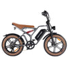 GTXR  & Happyrun Tank G60 750W Electric Bike