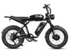 GTXR  & SAMEBIKE M20-III 2000W Electric Bicycle