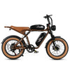 GTXR  & SAMEBIKE M20-III 2000W Electric Bicycle