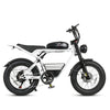 GTXR  & SAMEBIKE M20 1000W Electric Bike