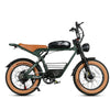 GTXR  & SAMEBIKE M20 1000W Electric Bike