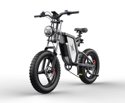 GTXR X20 tout-terrain vélo électrique