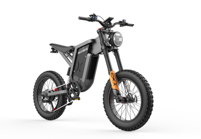 GTXR X21 tout-terrain vélo électrique【Prévente pour un mois】