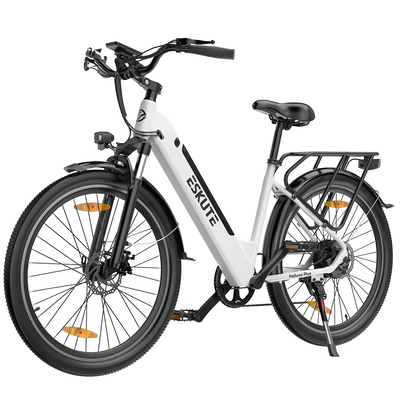 Polluno PLUS City E-bike mit Drehmomentsensor