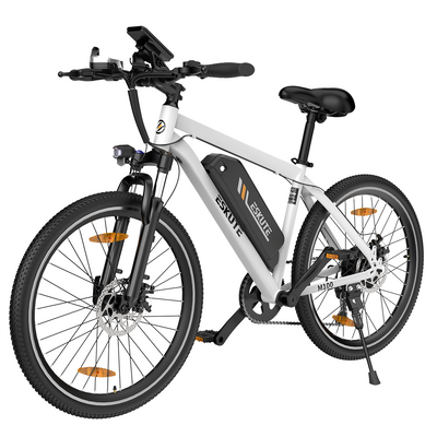 M100 E-Mountainbike mit Heckmotor 375Wh