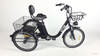 GTXR & GOGOBEST GF100 Electric City Tricycle Cargo Ebike【Pré-vente】