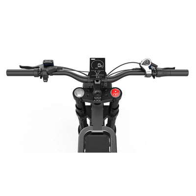 GTXR X21 tout-terrain vélo électrique【Prévente pour un mois】