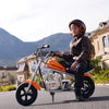 GTXR  & Happyrun Pulse 11 Kids Electric Motorcycle